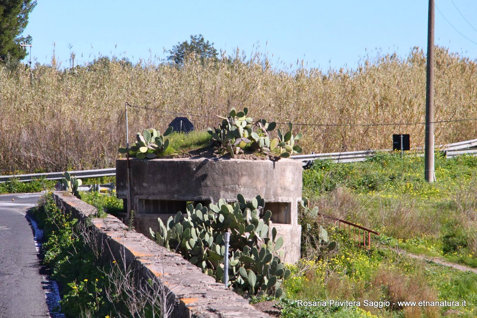 Ponte dei Malati